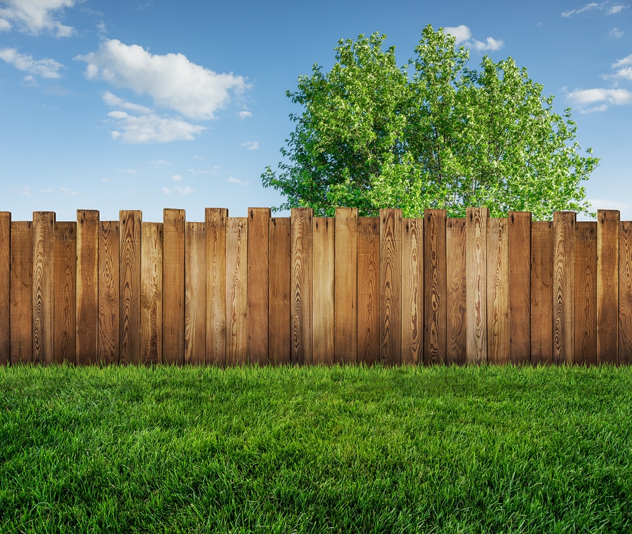 The Value of a Fenced Backyard - Bigstock Spring Tree In BackyarD AnD Wo 289420555