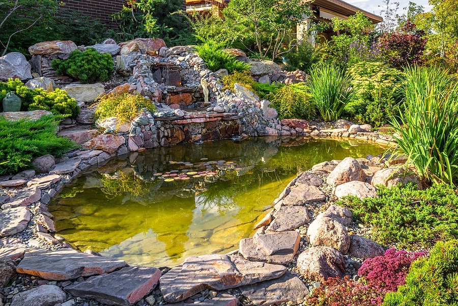 Landscape Design Ideas